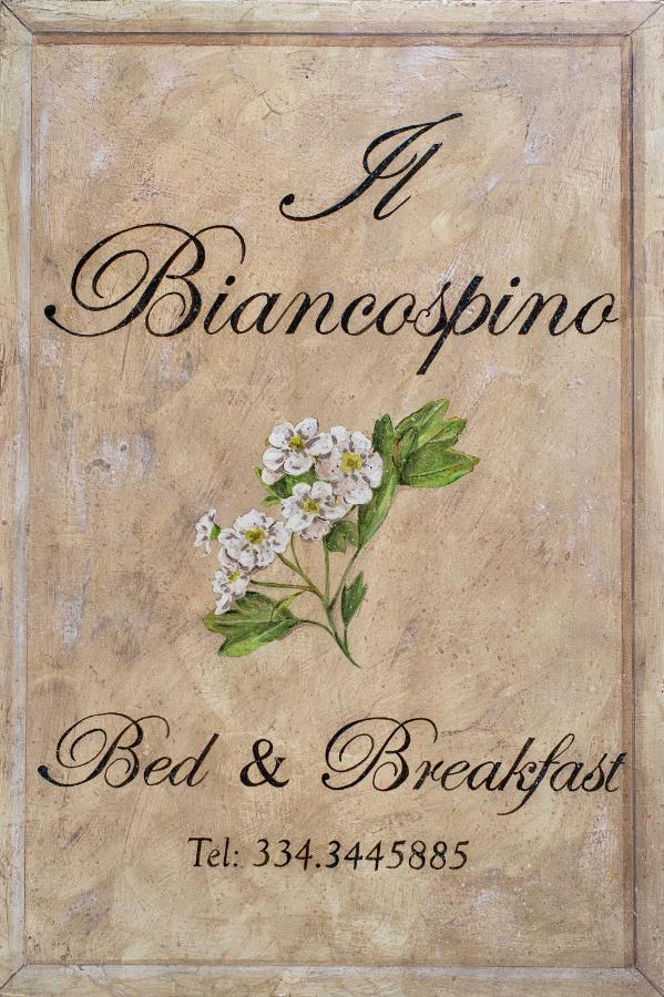 B&B Il Biancospino Abbadia San Salvator Exteriér fotografie